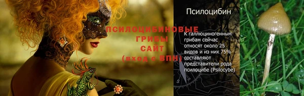 крисы Мегион