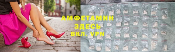 шишки Магас