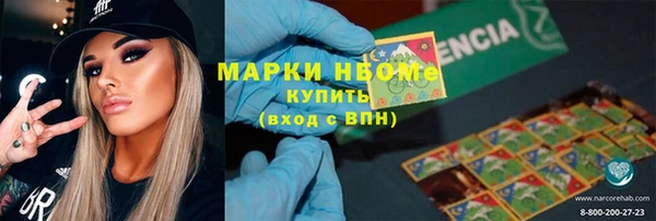 шишки Магас