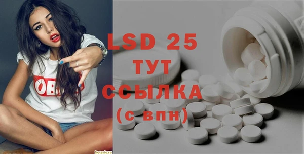 крисы Мегион