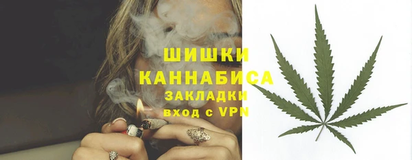 твердый Медногорск