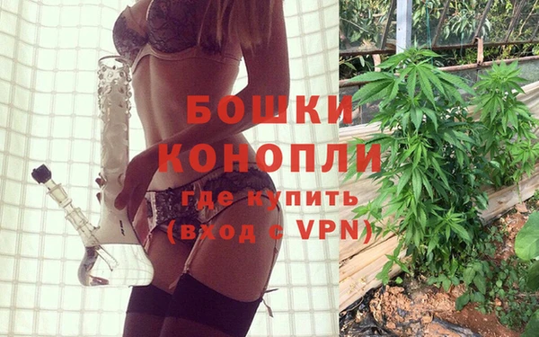 крисы Мегион