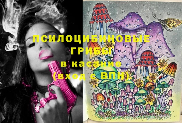 крисы Мегион