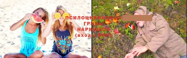 spice Медвежьегорск