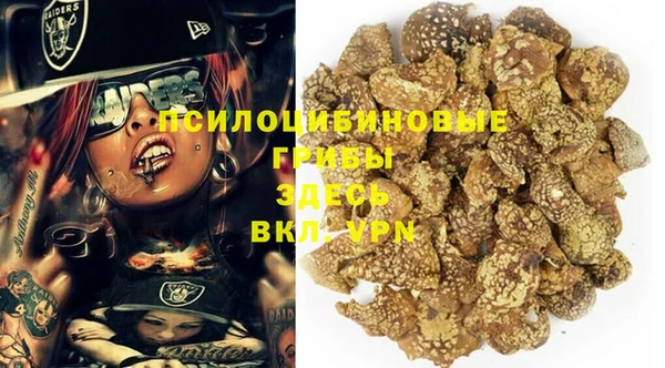 шишки Магас