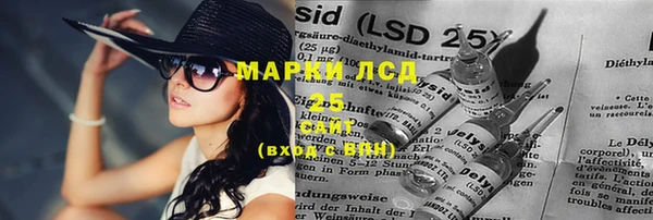 крисы Мегион