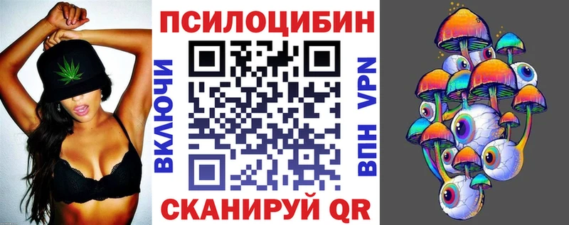 blacksprut ССЫЛКА  Томилино  Псилоцибиновые грибы прущие грибы  сколько стоит 